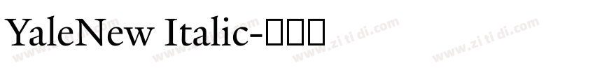 YaleNew Italic字体转换